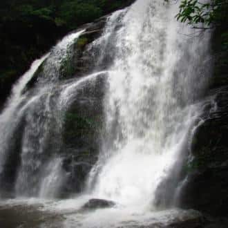 Stay In A Villa In Chikmagalur, Chikmaglur 3